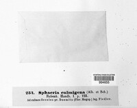 Image Associated With the Occurence